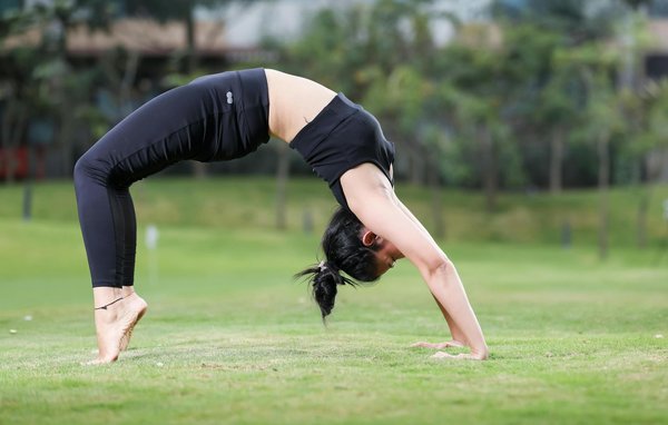 How do you choose the right pet for urban living in the UK?