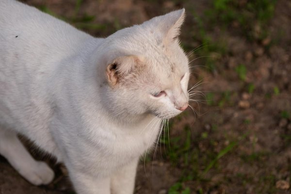 How Are Emerging Trends Shaping the UK Women's Fashion Scene?